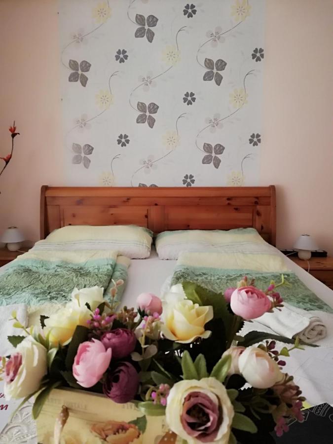Csilla Apartman Makó Exteriér fotografie